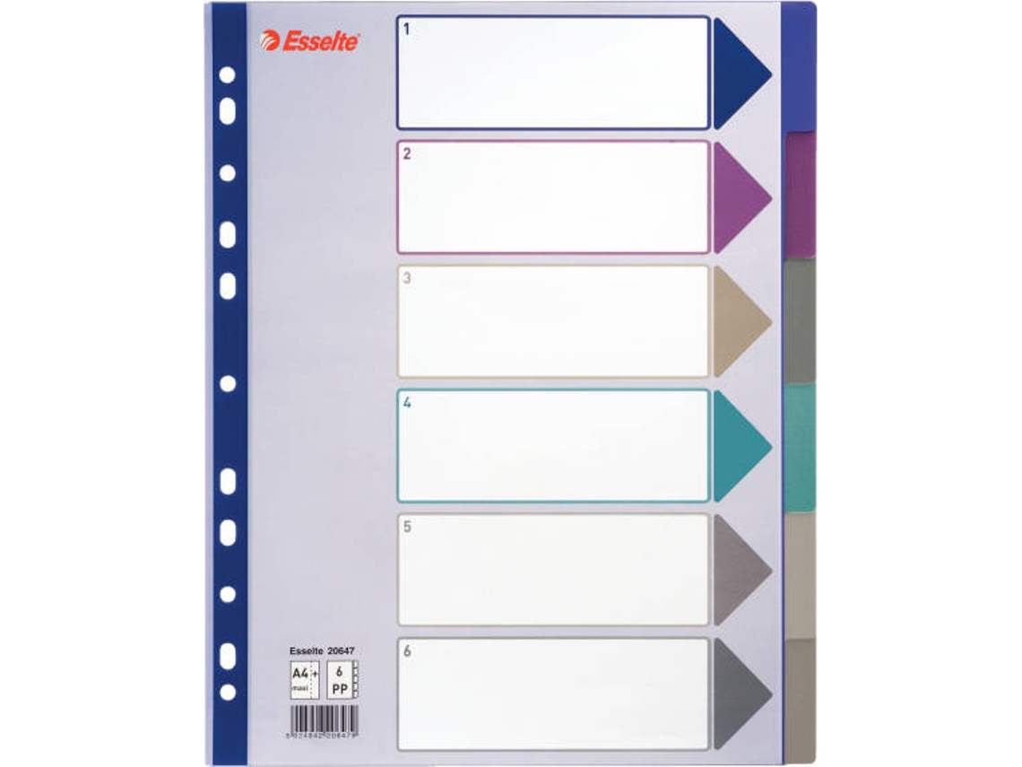 Separador ESSELTE Plastic (A4 - 24.5x30.5cm - Polipropileno)