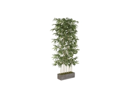 Planta Decorativa Home Esprit Madeira Bambu Polietileno Oriental