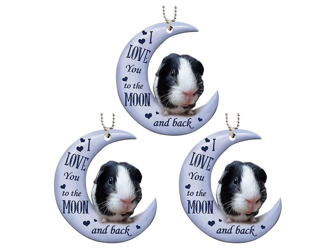 3pcs Pingentes de Sapo na Lua Decorativos de Acrílico para Carro e Árvore de Natal | S/MARCA