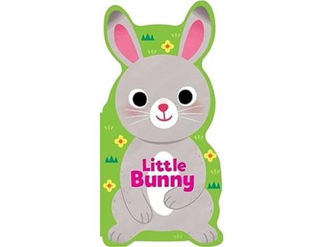 Livro Little Bunny de Maggie Fischer (Inglês - Capa Dura)