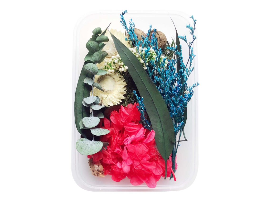 Laxiscreed Pacote De 10 Flores Secas Para Velas Aromáticas E Diy