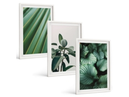 Quadros Decorativos Para Parede Folhas Tropicais Estéticas Moldura Branca Fotos Para O Escritório Espelharte (3 Piezas De 40x60 Cm)