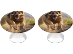 Conjunto De 2 Puxadores Aço Inoxidável Para Armários Cozinha, Personalizados Com Desenho De Um Pastor Alemão Correndo