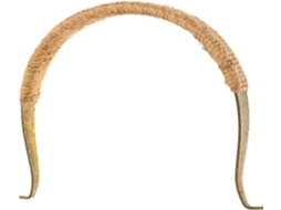 Cabo Vintage para Bule, Feito de Material Retrô. Reposição Bules com Construção Durável. Ideal CHABERLU