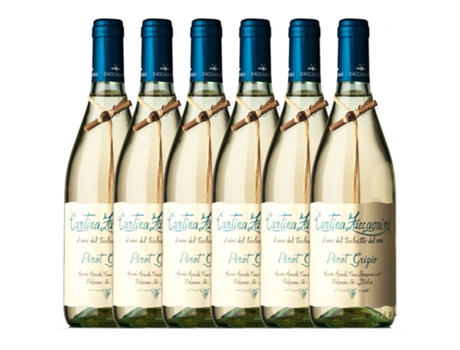 Zaccagnini Tralcetto Pinot Cinza Colline Teatine 75 cl (Caixa de 6 unidades)