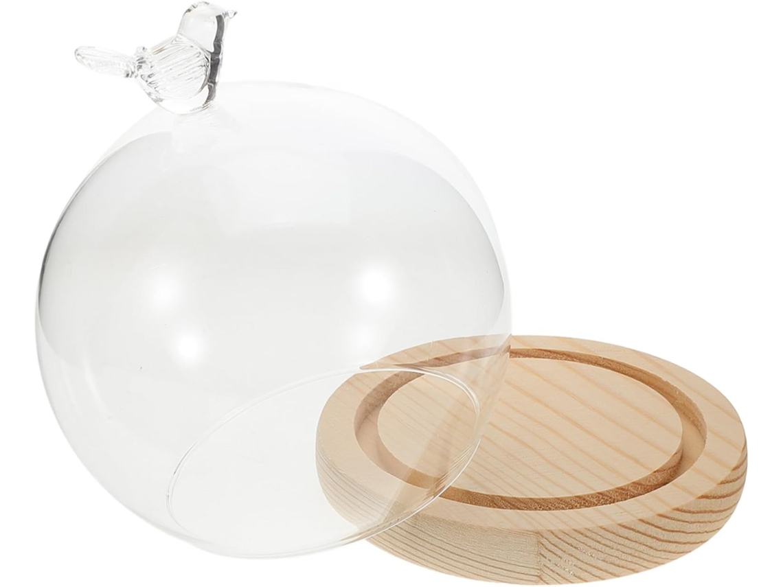 Conjunto De 1 Cúpula De Vidro Transparente Com Base Estável Para Projetos De Artesanato E Abajures.