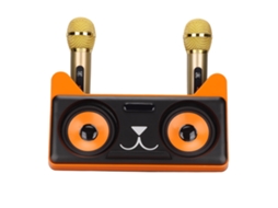 Alto falante Bluetooth Portátil com 2 Microfones Sem Fio LAXISCREED
