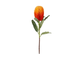 Flor Artificial Banksia Laranja Alta | S/MARCA