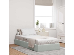 Vidaxl Cama Com Armazenamento Cinzento-claro 100 X 190 Cm Veludo