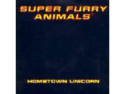 CD Super Furry Animals - Hometown Live (1CDs)