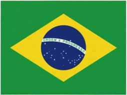 Manta de Flanela Ultramacia Phayah com Estampa da Bandeira Brasileira Ideal para Sofá Cama Sala Estar Escritór