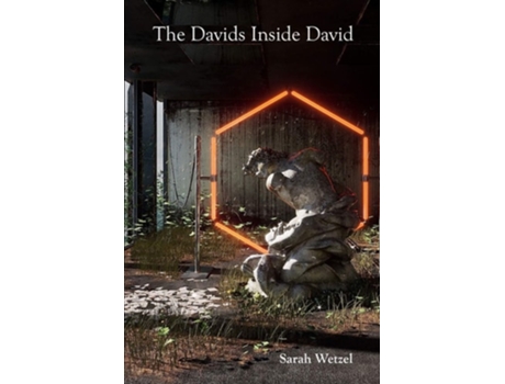 Livro The Davids Inside David De Sarah Wetzel (inglês)