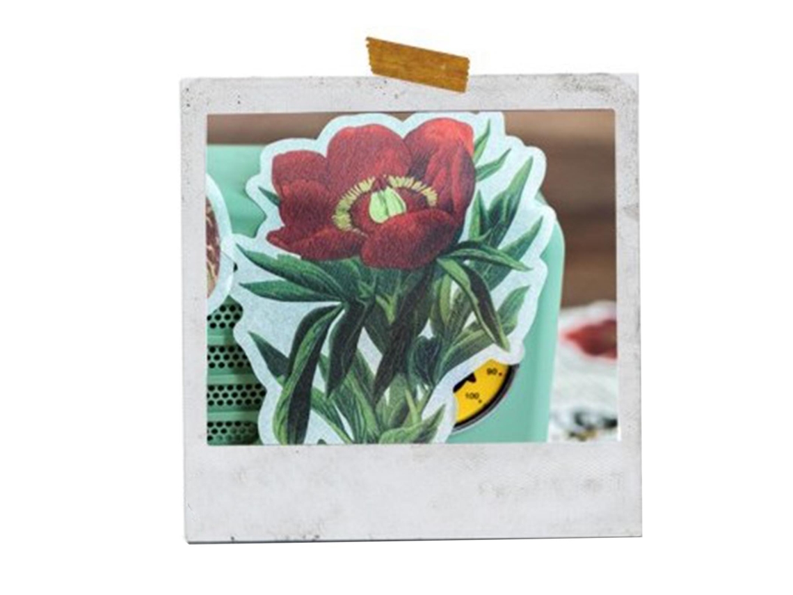 60 Pegatinas De Flores De Cores Vívidas Pegatinas Florais Decorativas Para Diários Diy