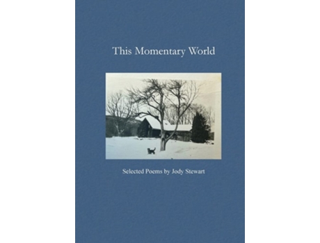 Livro This Momentary World De Jody Stewart (inglês)