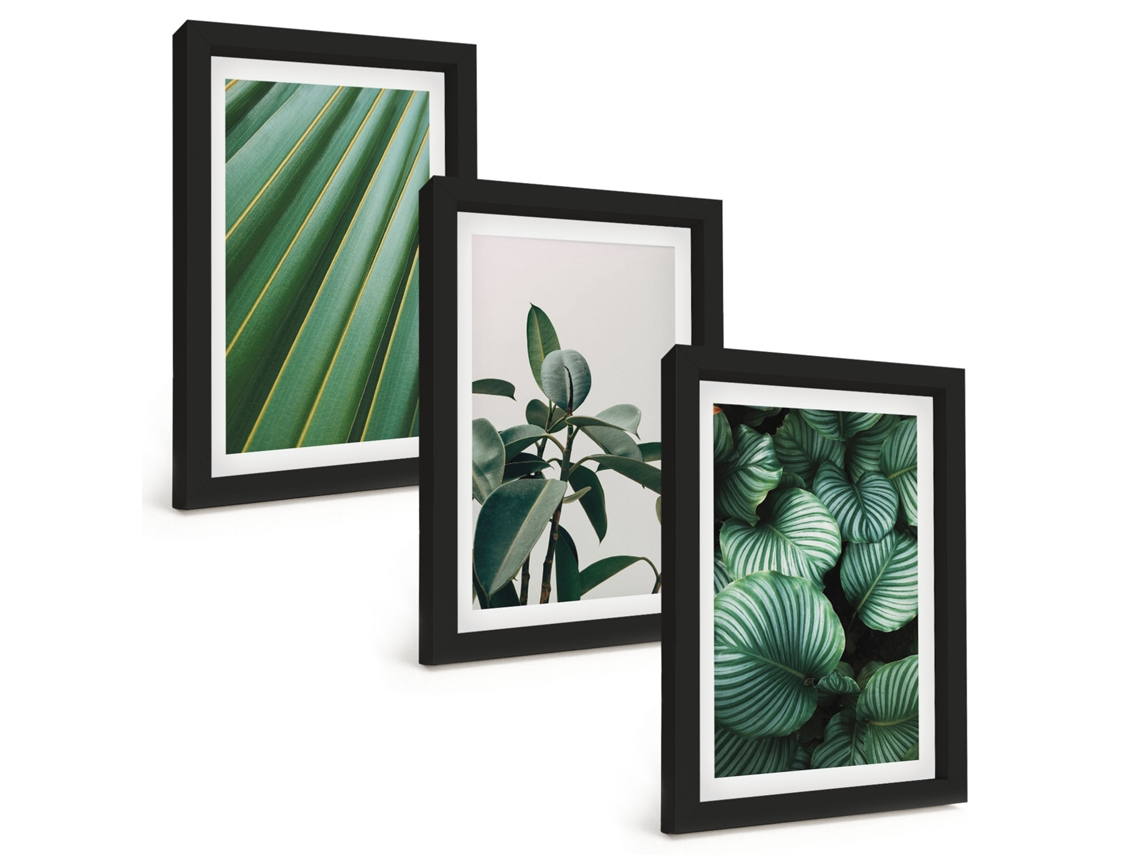 Composição De Quadros Folhas Tropicais Estéticas Espelharte (3 Peças 20x30 Cm)