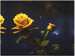 Manta de Flanela Ultramacia Phayah com Estampa Rosas Amarelas e Céu Estrelado Ideal para Sofá Cama Sala Estar
