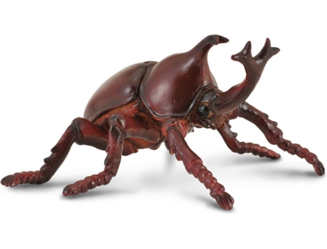 Figura  Rhinoceros Beetle