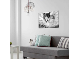 Quadro de Lobo Animal Sem Moldura LAXISCREED