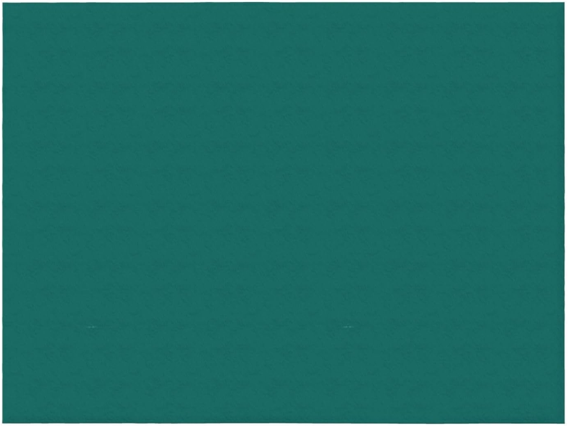 Manta de Flanela Ultramacia Phayah com Estampa Verde escura Sólida Ideal para Sofá Cama Sala Estar Escritório