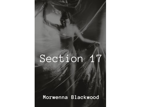 Livro Section 17 de Morwenna Blackwood (Inglês)
