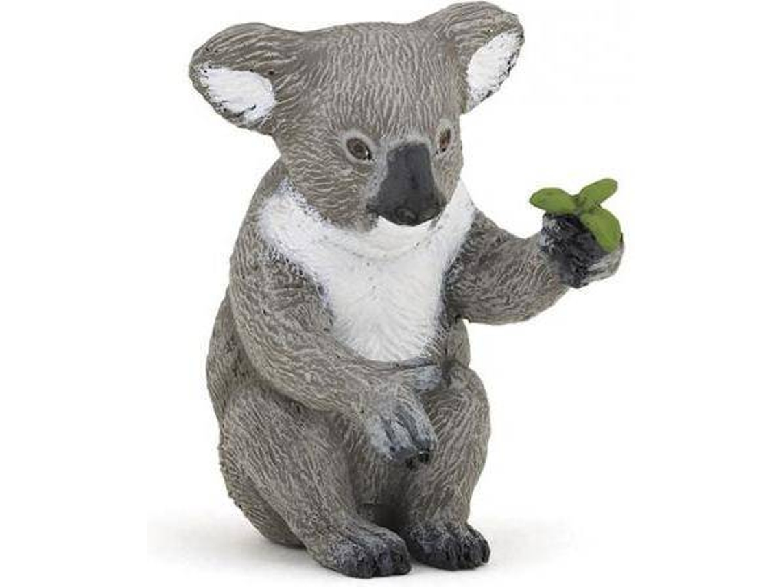 Figura PAPO Coala