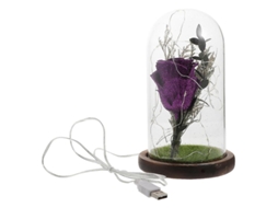Flor de Cobertura de Vidro ALLINLESS