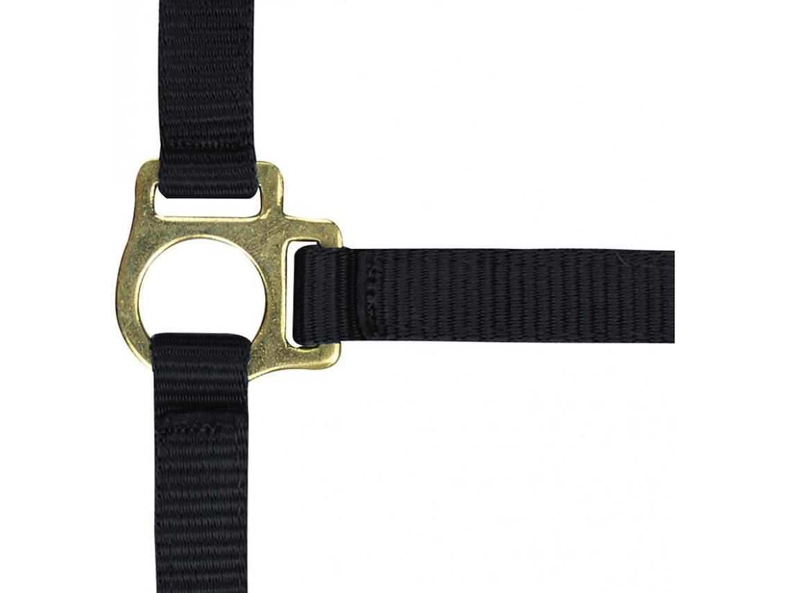 Cabresto para potro e corda de chumbo Norton