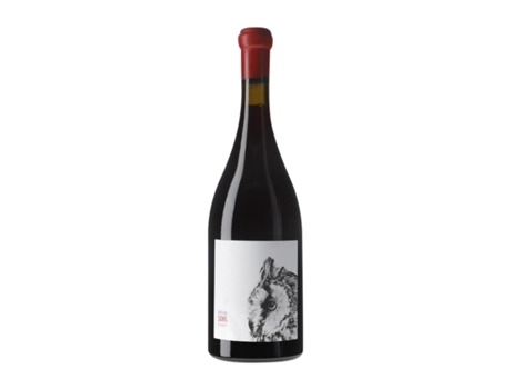 Vinho SICUS Sons Sumoll Penedès (0.75 L - 1 Unidade)