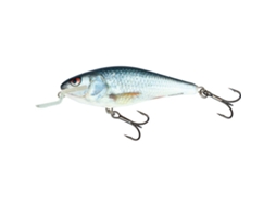 Lure SALMO IEX9SR Holgraphic