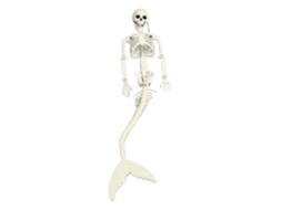 Esqueleto Sereia Decorativo Halloween Juntas Móveis Pose Flexível
