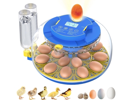 Incubadora Automática Para 18 Ovos Com Visor De Umidade E Função De Teste De Ovos Para Galinhas, Patos, Codornas E Pombos Sunny Spaces