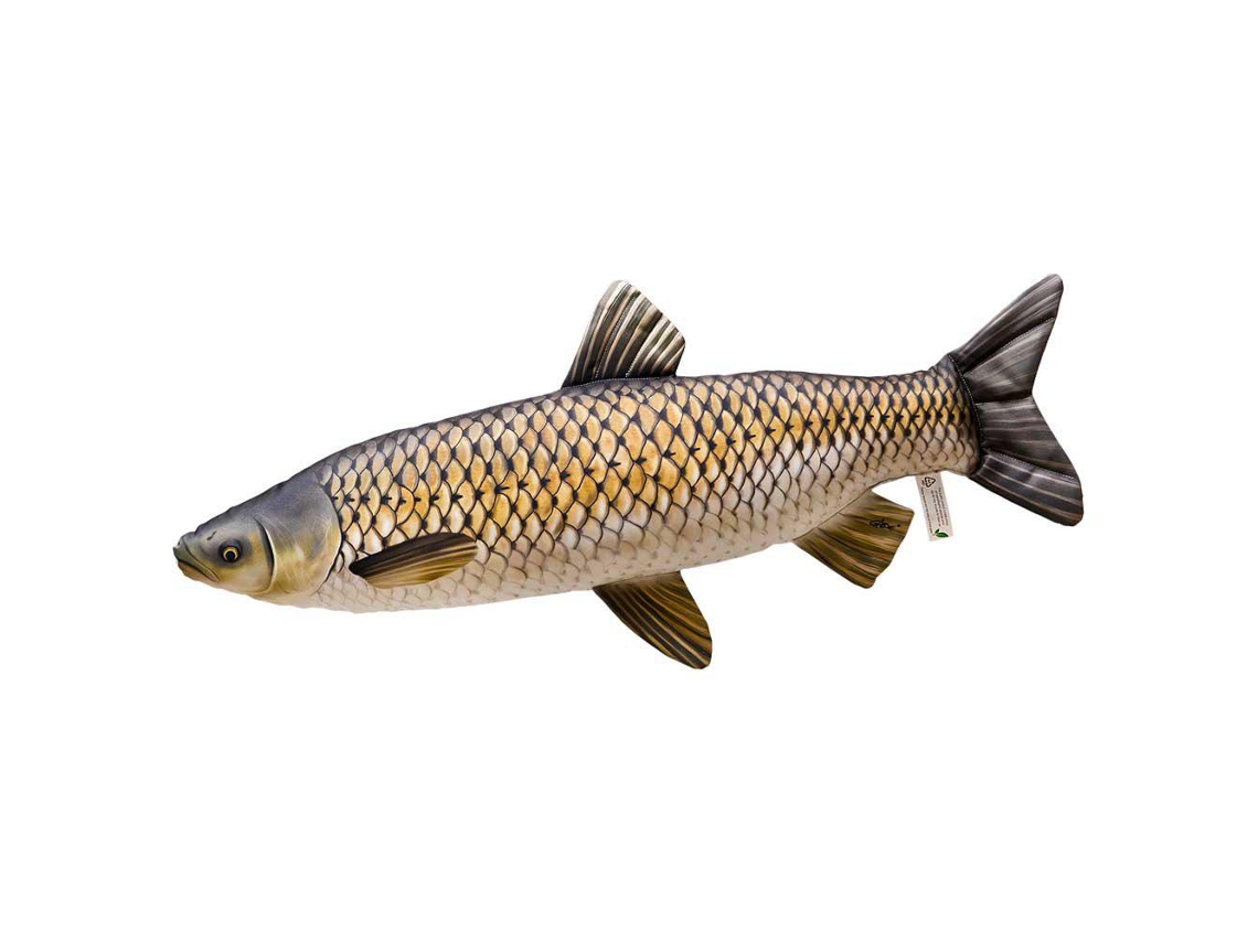 GABY The Grass Carp Giant