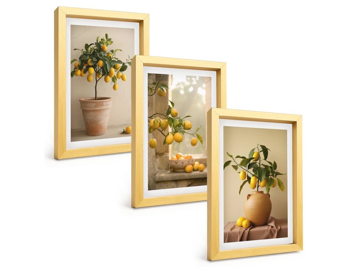 Composição De Quadros Limoeiros Em Vasos Espelharte (3 Peças 20x30 Cm)