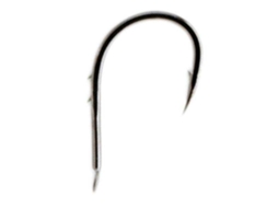 Asari Chinu Double Carbon