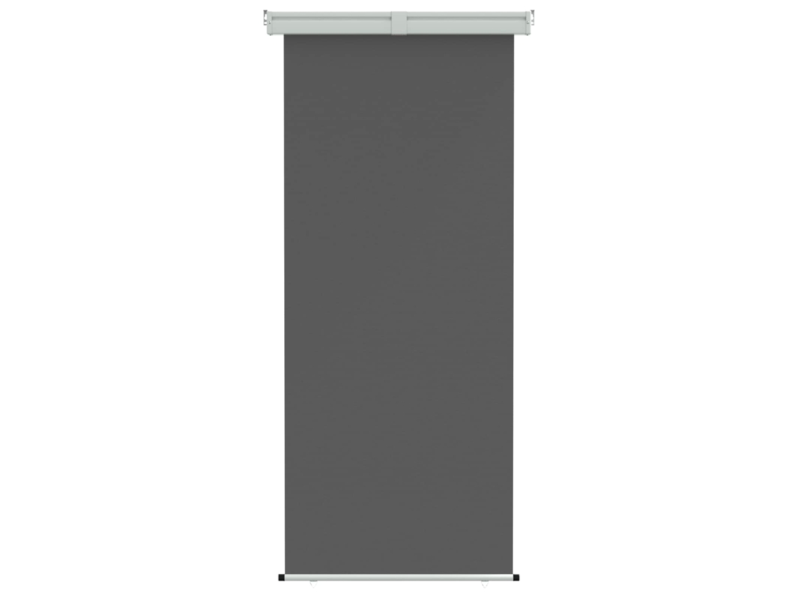 Vidaxl Toldo Lateral De Varanda 100% Poliéster, Ferro E Aço