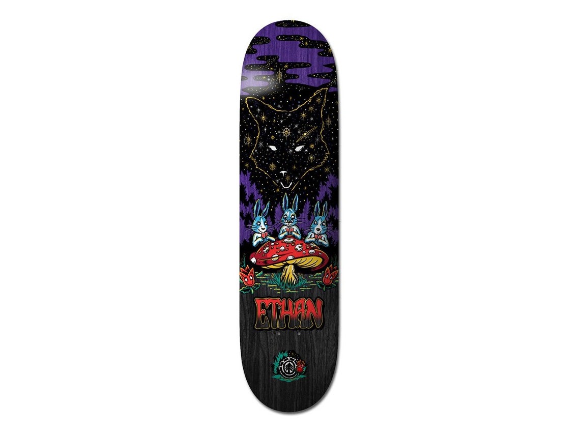 Componentes Desportos ELEMENT Shadow ethan 8´´