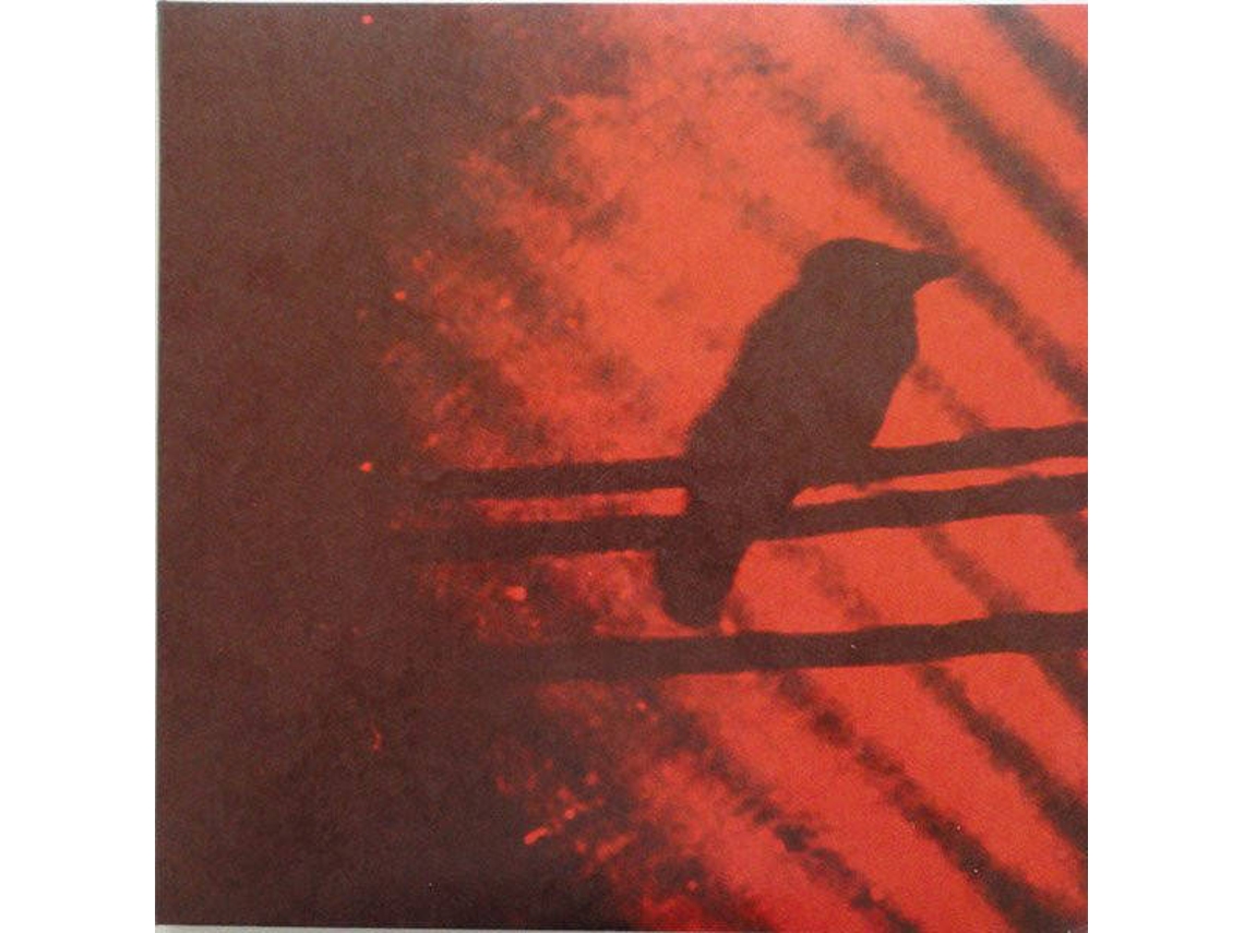 Vinil LP Born Into Trouble As The Sparks Fly Upward. Worten.pt