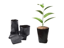 100pcs Saco De Mudas Plástico Espessado Com Buracos Respiráveis 10x20cm Para Plantas Frutas Flores