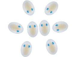 Adesivos Antidesgaste Para Os Pés, Almofadas De Gel Brancas Para Os Pés, 8 Unidades, Absorventes De Suor E Macias Para A