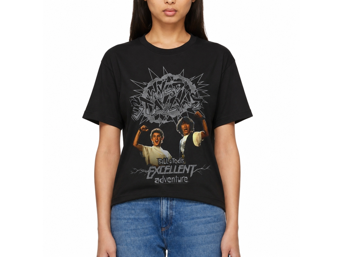 Rockinstone Bill And Ted Gray Wyld Stalyns Black Adult T-shirt Size:l
