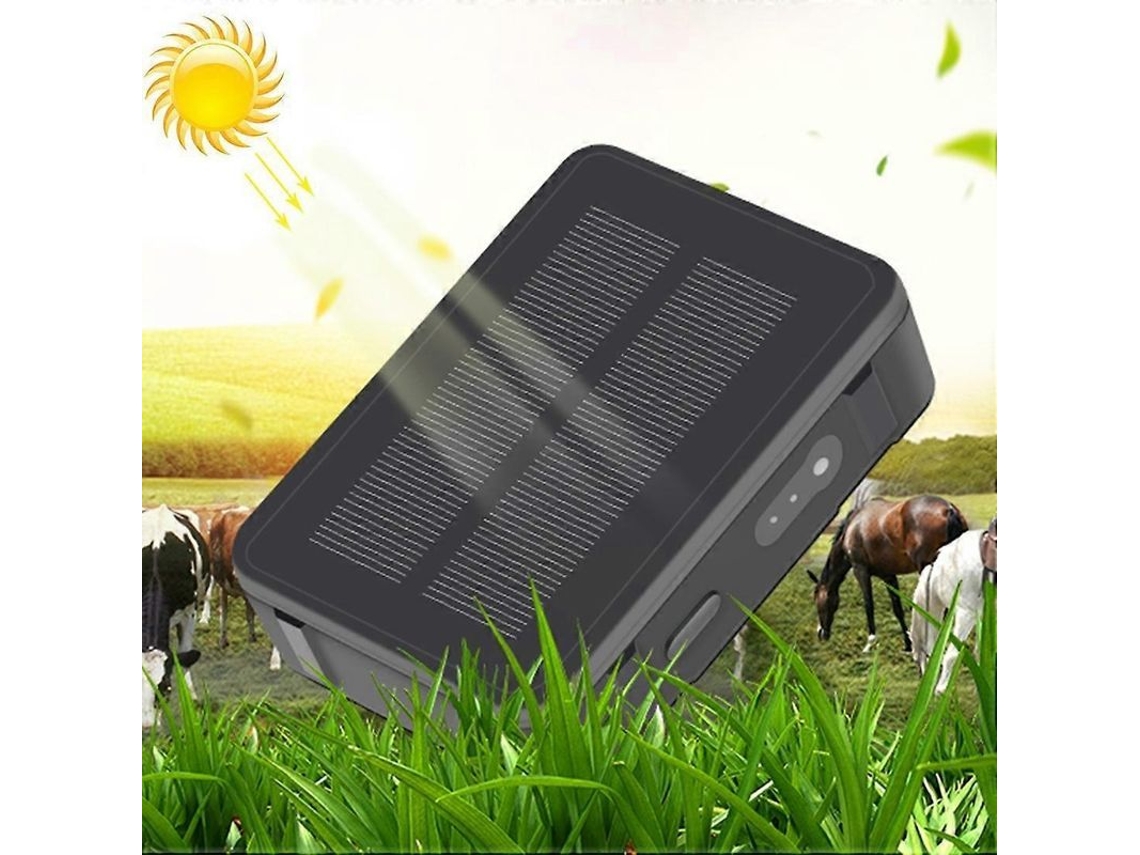Rastreador GPS GSM WiFi para gado Charm