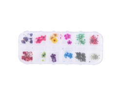 12 Flores Naturais Secas em Cores Variadas para Decoração de Unhas com Gel UV e Acrílico - Ferramenta DIY para Manicure