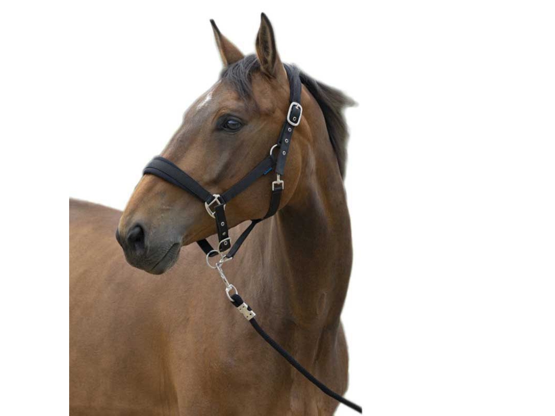 Halter&Lead Large Preto Cobnorton Equestrian