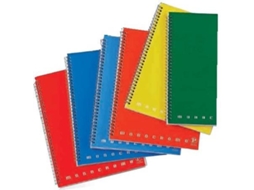 Caderno PIGNA Monocromo Maxi Multicor