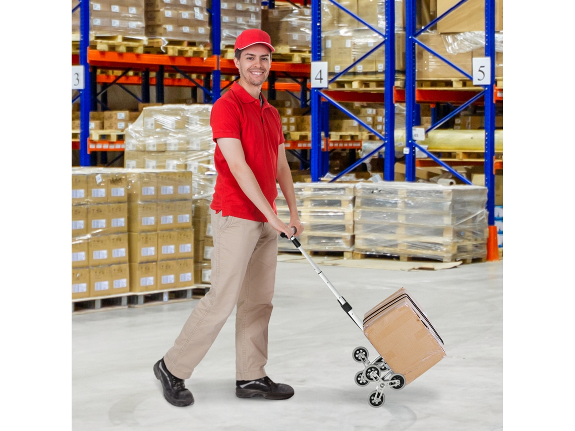 Carrello Portapacchi Pieghevole A 6 Ruote Max 70 Kg Con Fune E Maniglia Estraibile, 47x47x100 Cm, Nero E Argento