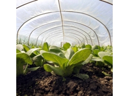 Cobertura para Estufa TECPLAST 3x3 m - 150SE - Lona Transparente Impermeável para Jardim - Alta Qualidade