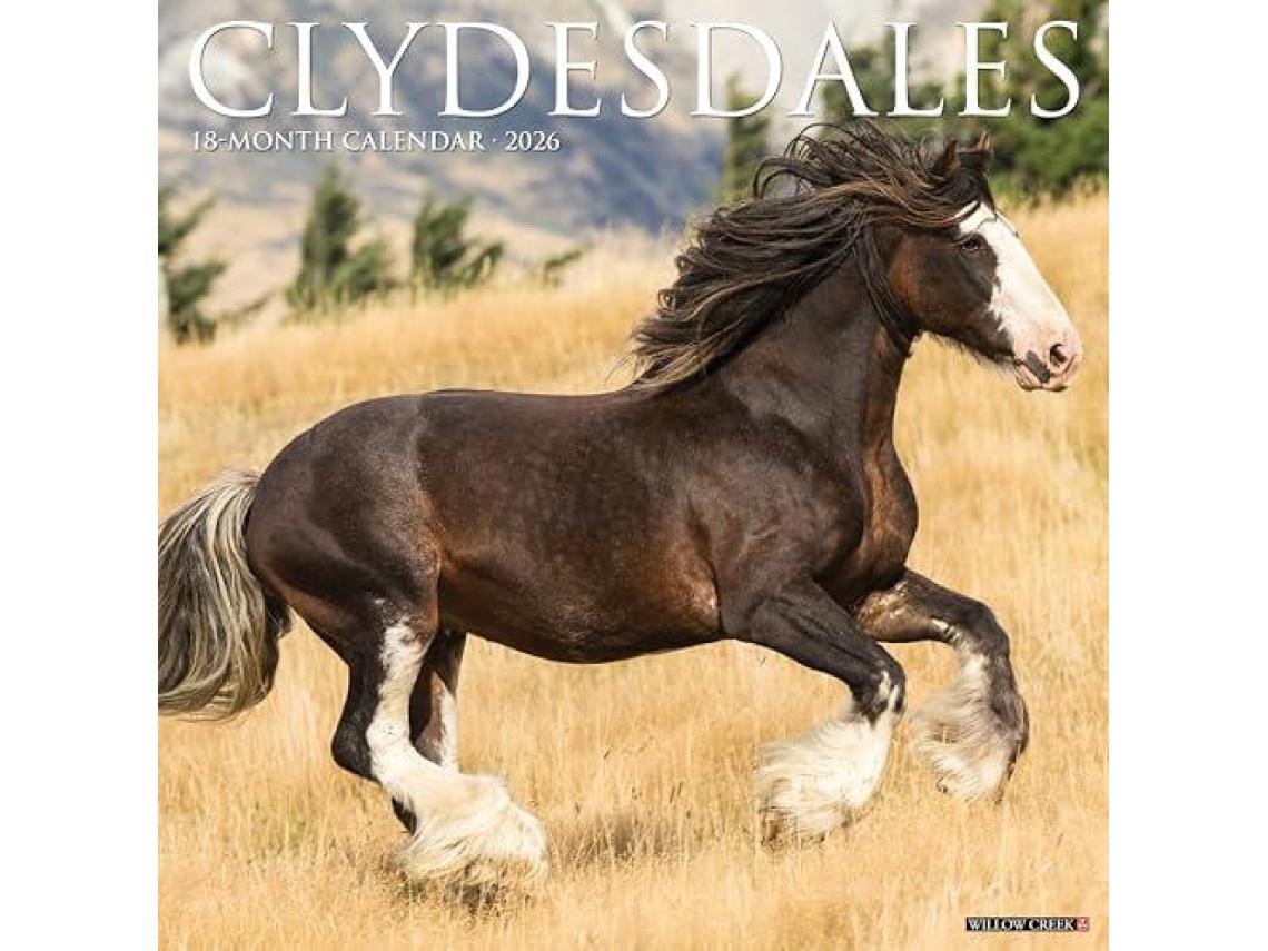 Livro Clydesdales 2026 Wall Calendar de Willow Creek Press (Inglês)