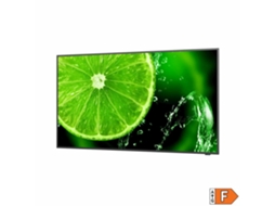 Televisão Led Nec E658 65"