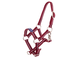 Cabresto para Potros PREMIERE Equitation Fun