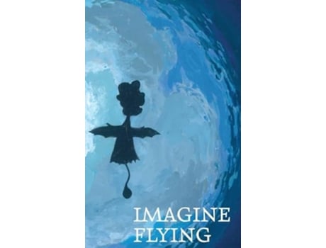 Livro Imagine Flying de Meredith B Stoudenmire (Inglês - Capa Dura)